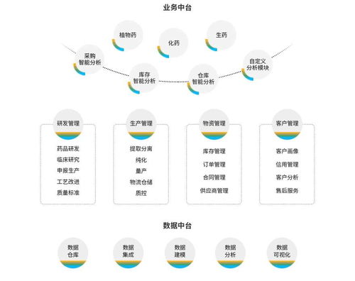 生物制药与化工行业ERP解决方案 数字化转型与企业管理咨询实践